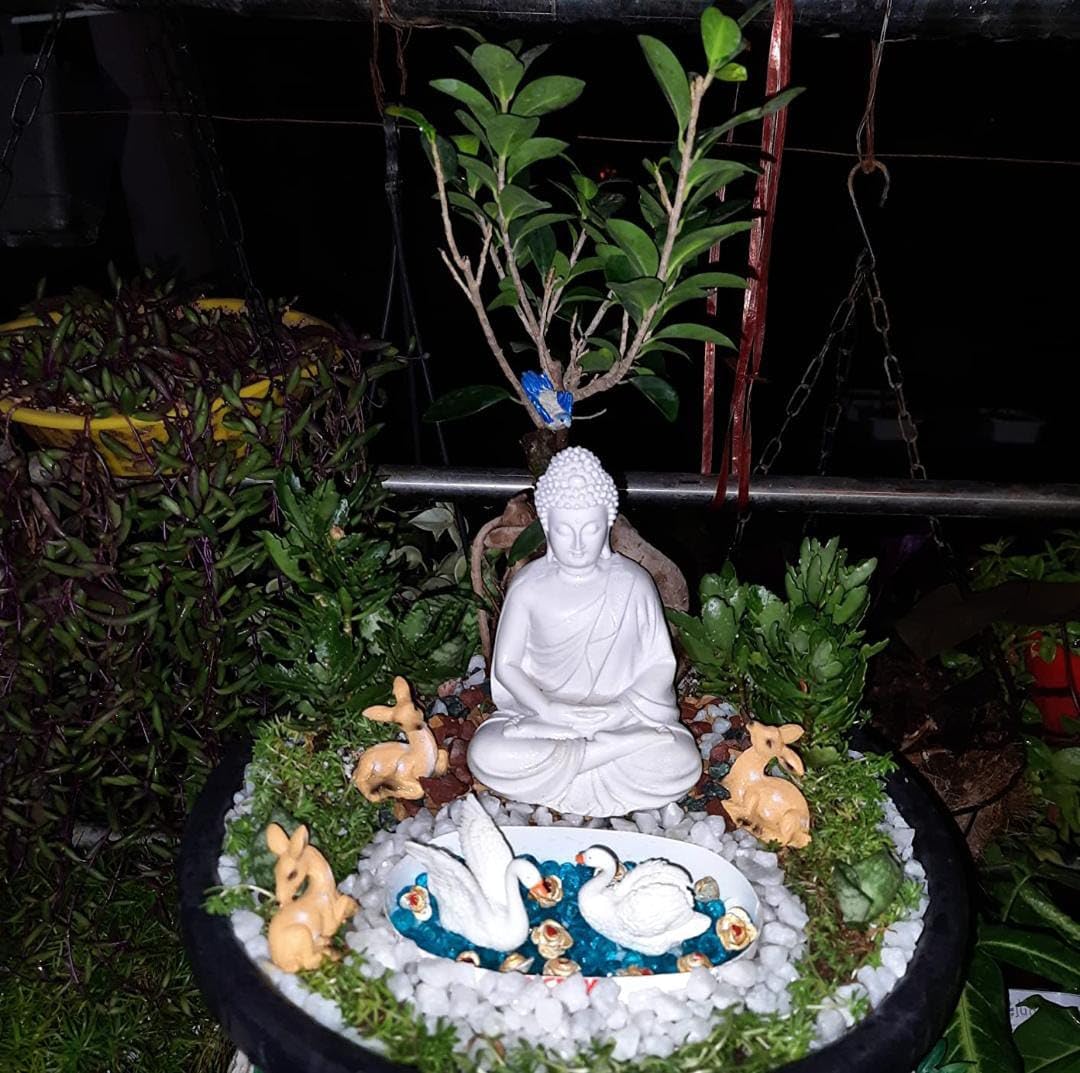 JOY LAND Meditation/Dhyan Buddha Statue Lord Figurine/Idol (White, 5.5-inch)