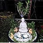 Parv International White Buddha Statue | 5.5-Inch Meditating Figurine for Home Mandir & Relaxation Décor
