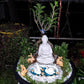 Parv International White Buddha Statue | 5.5-Inch Meditating Figurine for Home Mandir & Relaxation Décor