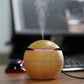 Parv International Cool Mist Humidifier Diffuser | Portable Aroma Air Purifier for Room – Brown